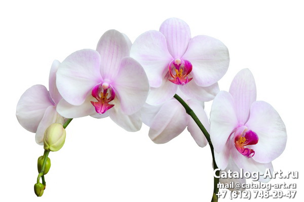 Натяжные потолки с фотопечатью - Белые орхидеи 53